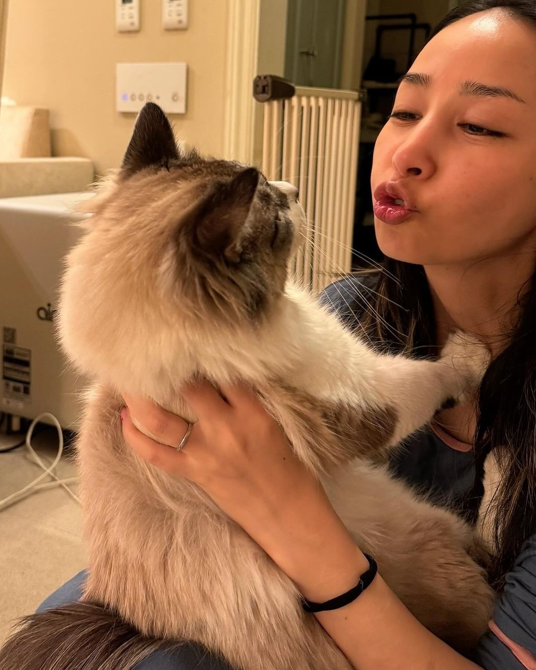 中島美嘉】愛猫2頭に「お願いすわせて！」すっぴんタコチューで猫足