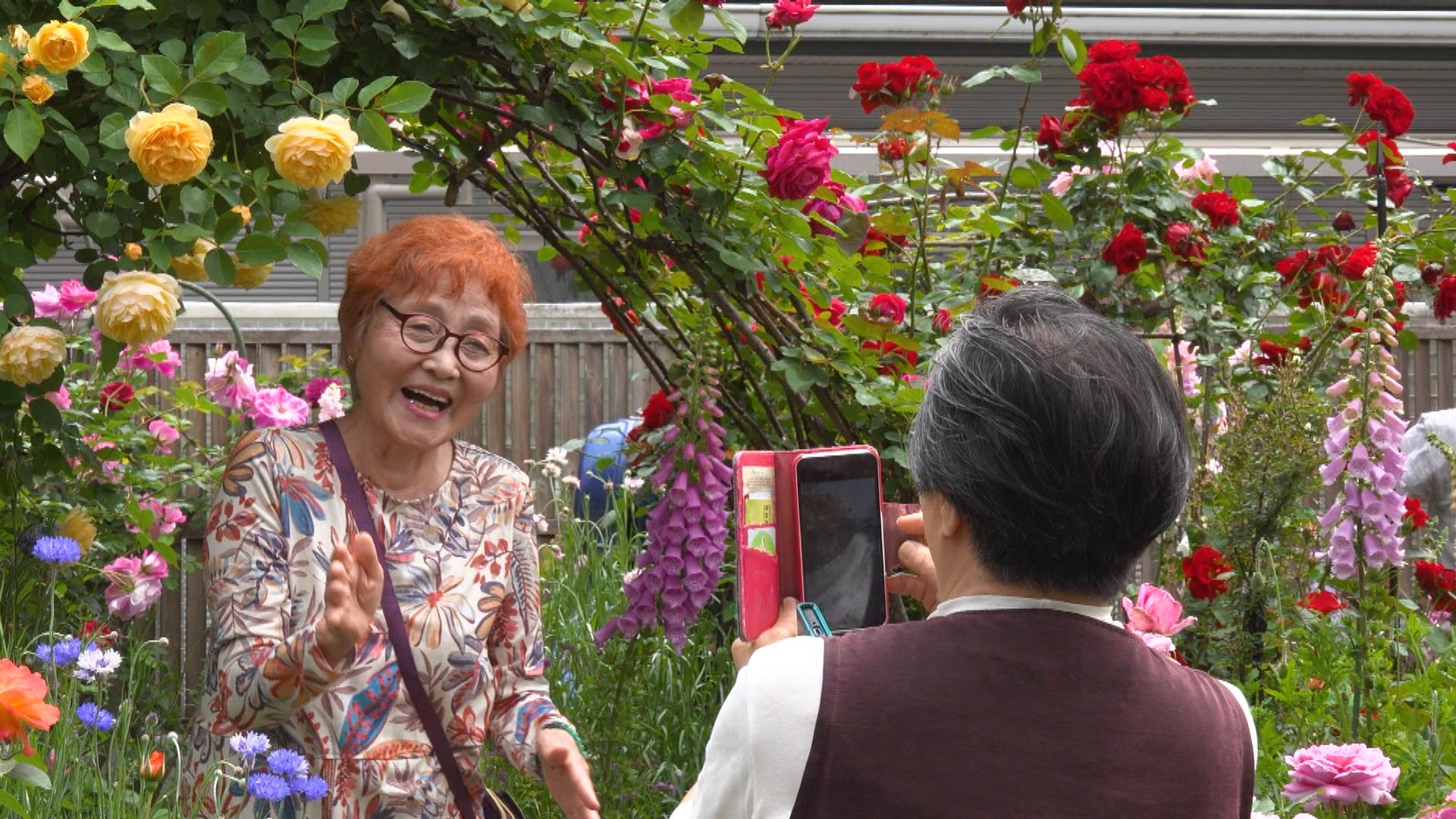 住宅街に160種の“バラ園”！夫婦が育てたバラたちと生演奏の共演
