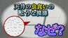 なぜ学校の天井は「虫食いのような模様」なの？半世紀以上も日本の建築を支える “ジプトーン” 素材に隠された機能性とは|TBS NEWS DIG