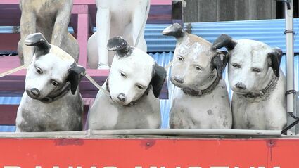 屋根にずらりと並んだ「ビクター犬」がつないだ絆 特別な2匹に秘められ