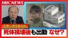【旭山動物園死体損壊事件】なぜ容疑者は事件後も出勤？「いろんなことが場当たり的に」《犯罪心理学者が分析》「事件自体の計画性が非常に乏しい」|TBS NEWS DIG