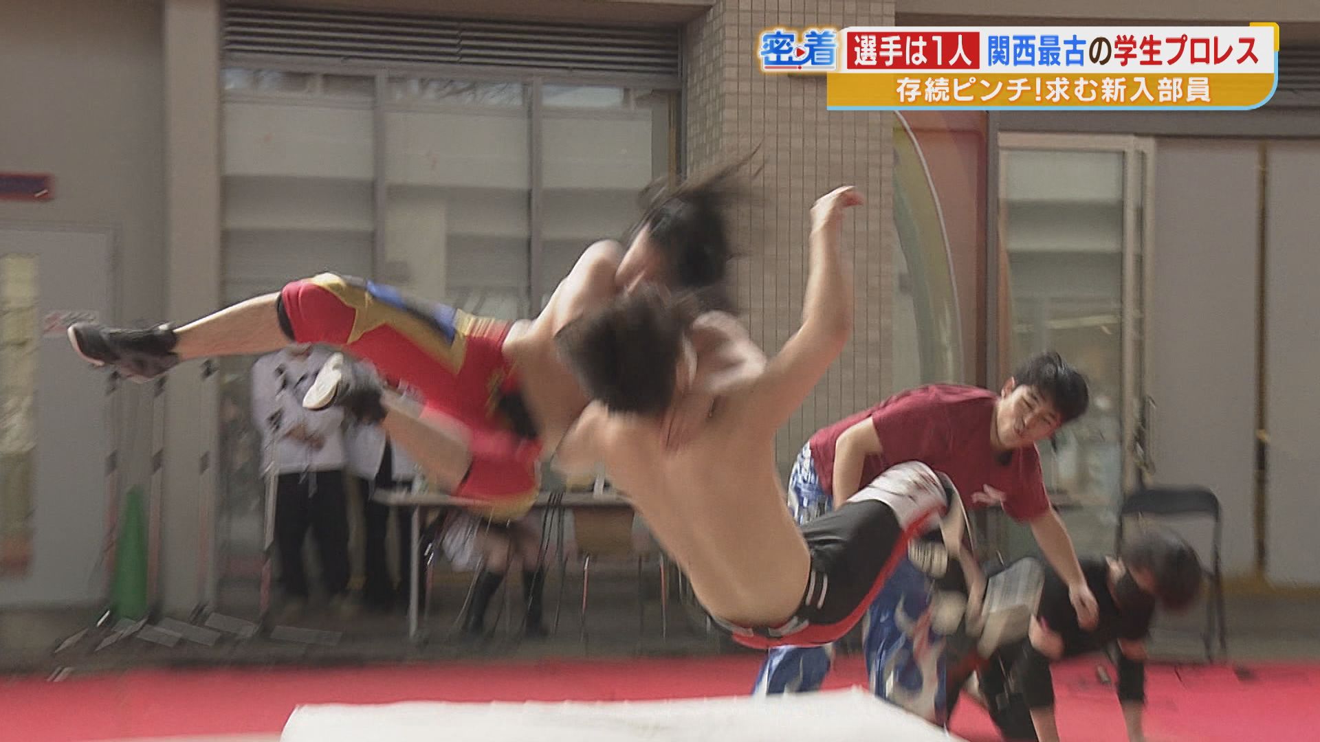 fightingkids 