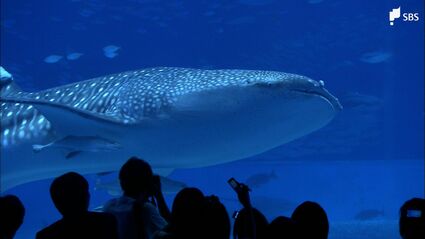 img_ed08f3f5eb54c143b42b3a46d3