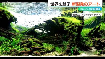 水景クリエイター” 故・天野尚氏が創り出したアート『ネイチャー