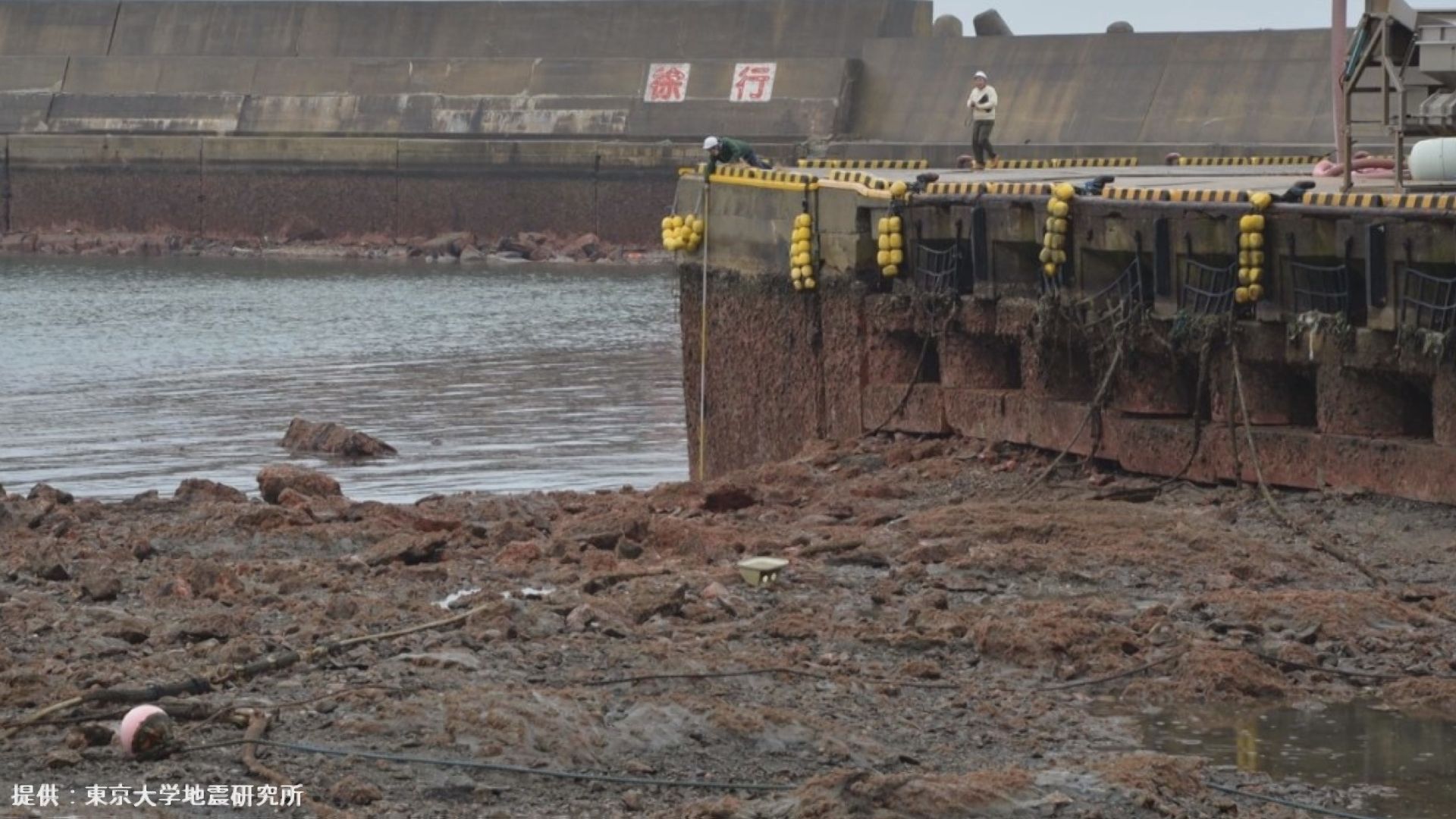 輪島市の漁港で約3.9m隆起 砂浜では約2.5mの海岸線前進も確認 東京大学地震研究所 TBS NEWS DIG