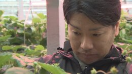 「日常を一緒に作りたい」　漁業の街・大船渡市を農業で復興へ　東北最大級のトマトの産地に　山梨の農業法人との絆【東日本大震災　3.11】|TBS NEWS DIG