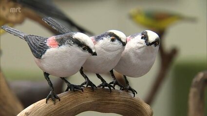 オオルリ 幸せ運ぶ青い鳥 木彫りの野鳥 野鳥彫刻 リアルバード