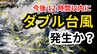 【台風情報】“台風25号”に続き  新たな「熱帯低気圧＝台風のたまご」発生　ダブル台風のおそれも　気象予報士が解説　雨風シミュレーション【気象庁 4日】　|TBS NEWS DIG
