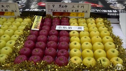 今年産リンゴの“頂”が決定 青森県りんご品評会に500点以上が出品 青森