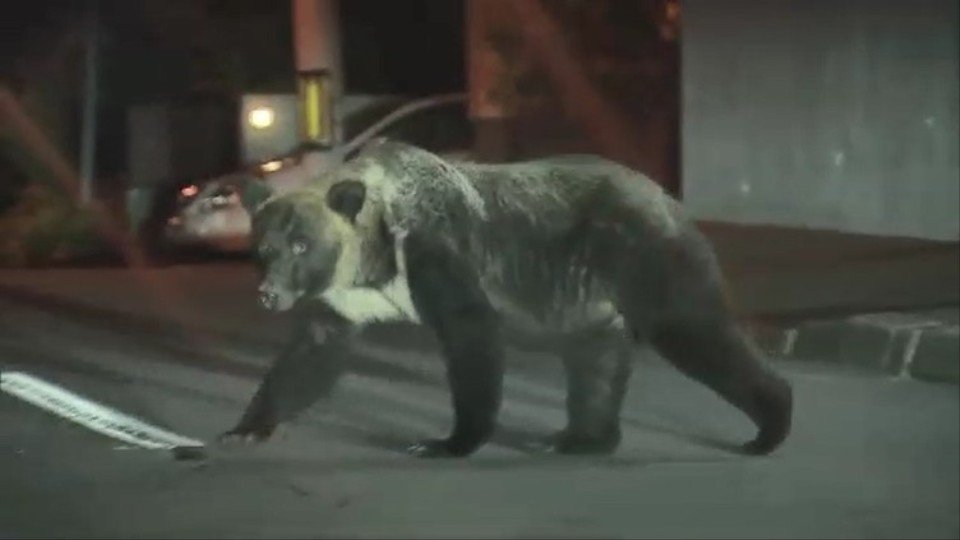 img_f48555b2efeaa74325a21f2bd7