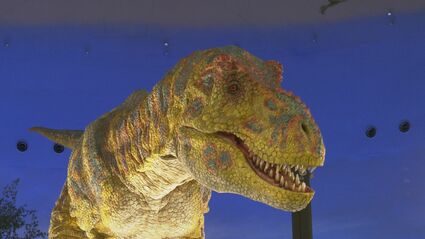 7700万年前の“ブラキロフォサウルス”に感動！「リアルを体感して」福井