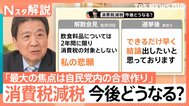 “高市旋風”自民が歴史的大勝　「消費税ゼロ」「非核三原則」どうなる？“白紙委任状態”政策の行方は【Nスタ解説】|TBS NEWS DIG