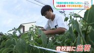 「中山間地域の畑を大切にしたい」JA正会員の中学3年生の思い【SDGs】|TBS NEWS DIG
