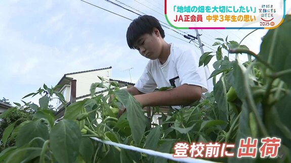 「中山間地域の畑を大切にしたい」JA正会員の中学3年生の思い【SDGs】|TBS NEWS DIG