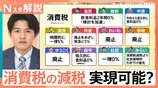 “消費税の減税”で暮らしどうなる…各党公約の実現可能性は?税収減で社会保障は?【Nスタ解説】【選挙の日、そのまえに。】|TBS NEWS DIG